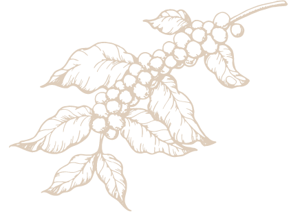 ACCUEIL Coffee 5 Dsl 4